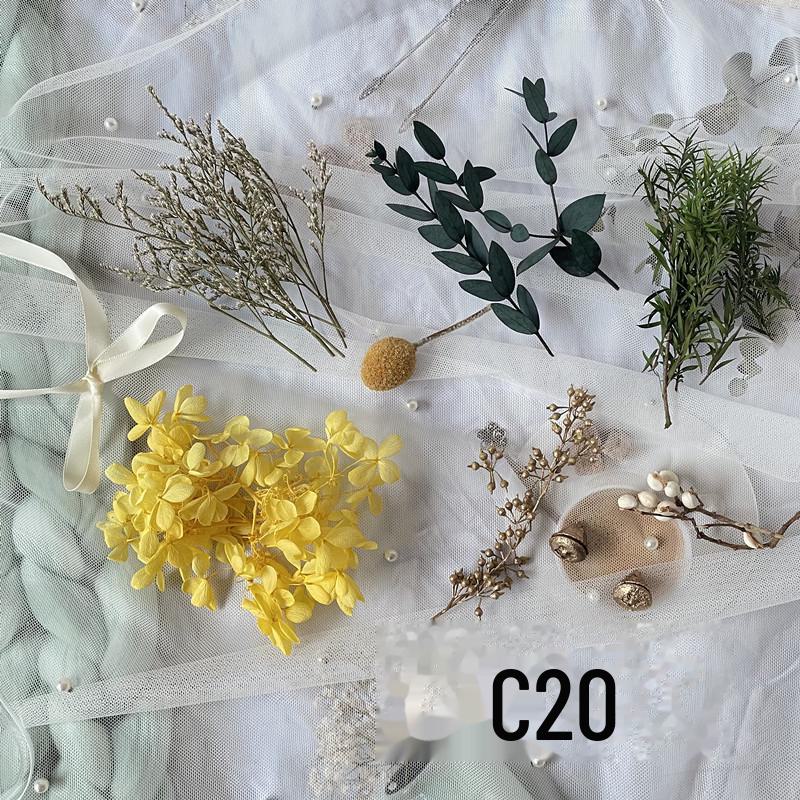 Kit DIY Fleur Éternelle: Cadre photo de fleurs séchées, éventail rond, bouteille flottante, composition florale réelle pour la décoration du salon ou de la maternelle.