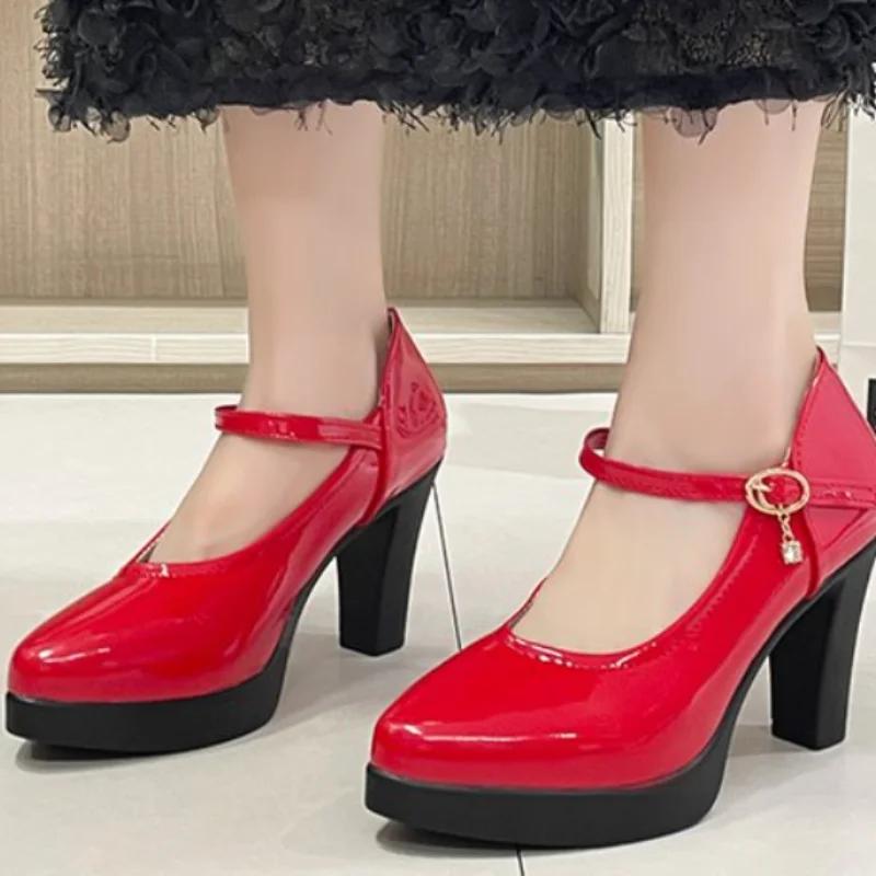 Fashion Ankle Strap Thick Heels Pumps for Women 2024 Pu Leather Office High Heeled Shoes Woman's Elegant Platform Mary Jane Shoes Casual