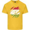 Torn Tajikistan Flag Tajik Day Football Unisexs Light Cotton TShirt