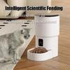 Timer Function Automatic Pet Feeder USB Charge Smart Auto Dispenser  Remote Feeding