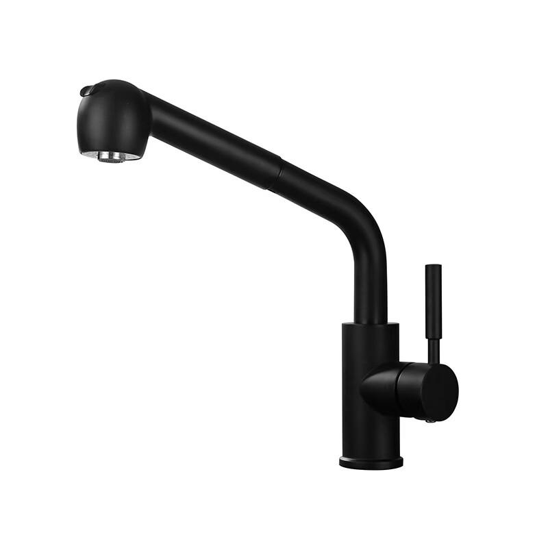 TLXT Pull-out Stainless Steel Kitchen Faucet
