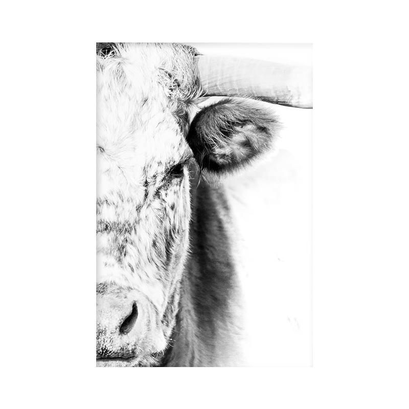 Animal Side Face Portrait Modern Wall Canvas Print Wild Life Art Poster Black and White Photo For Living Room Home Decor Cuadros