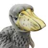BH7243 HANSA Shoebill 59
