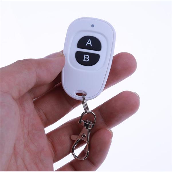 White Duck Egg 2-Button Remote Control - Supports 2260 Code & EV1527 Learning Code Remote Control
