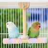 Interactively Parrots Swing Toy Cotton Rope Perches Training Bird Balance Toy For Cage Climbing Exercise Training