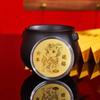 Monete Commemorative in Oro Anno della Capra 2027 Multiple Esquisite Designs Con Custodia Trasparente Per Regali di Capodanno Souvenir Collezione
