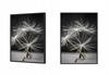 Picture, poster Framed 53x73 cm Dandelion P521