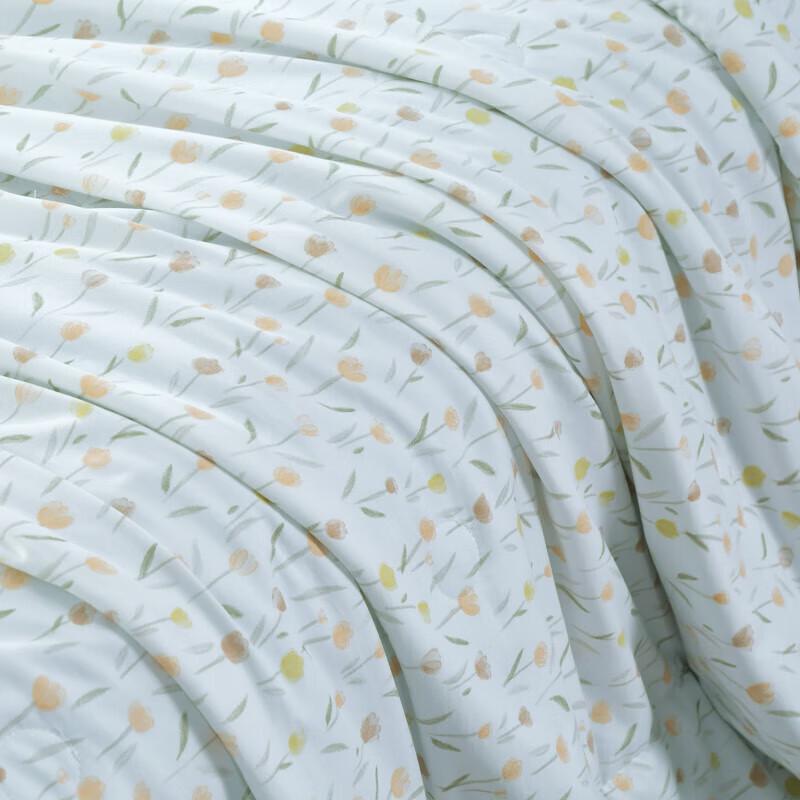 Muji Royal Antibacterial Quilt