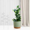 Stainless Steel Indoor Plant Support Clip 35CM Curved Vine Trellis for Potted Flowers