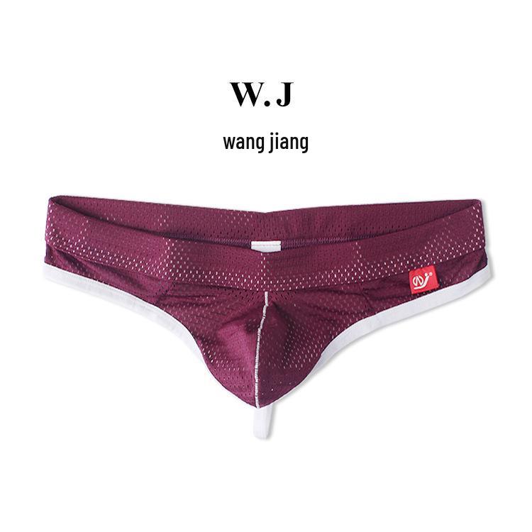 Men's Low-Rise Mesh Thongs - Breathable Nylon Lingerie