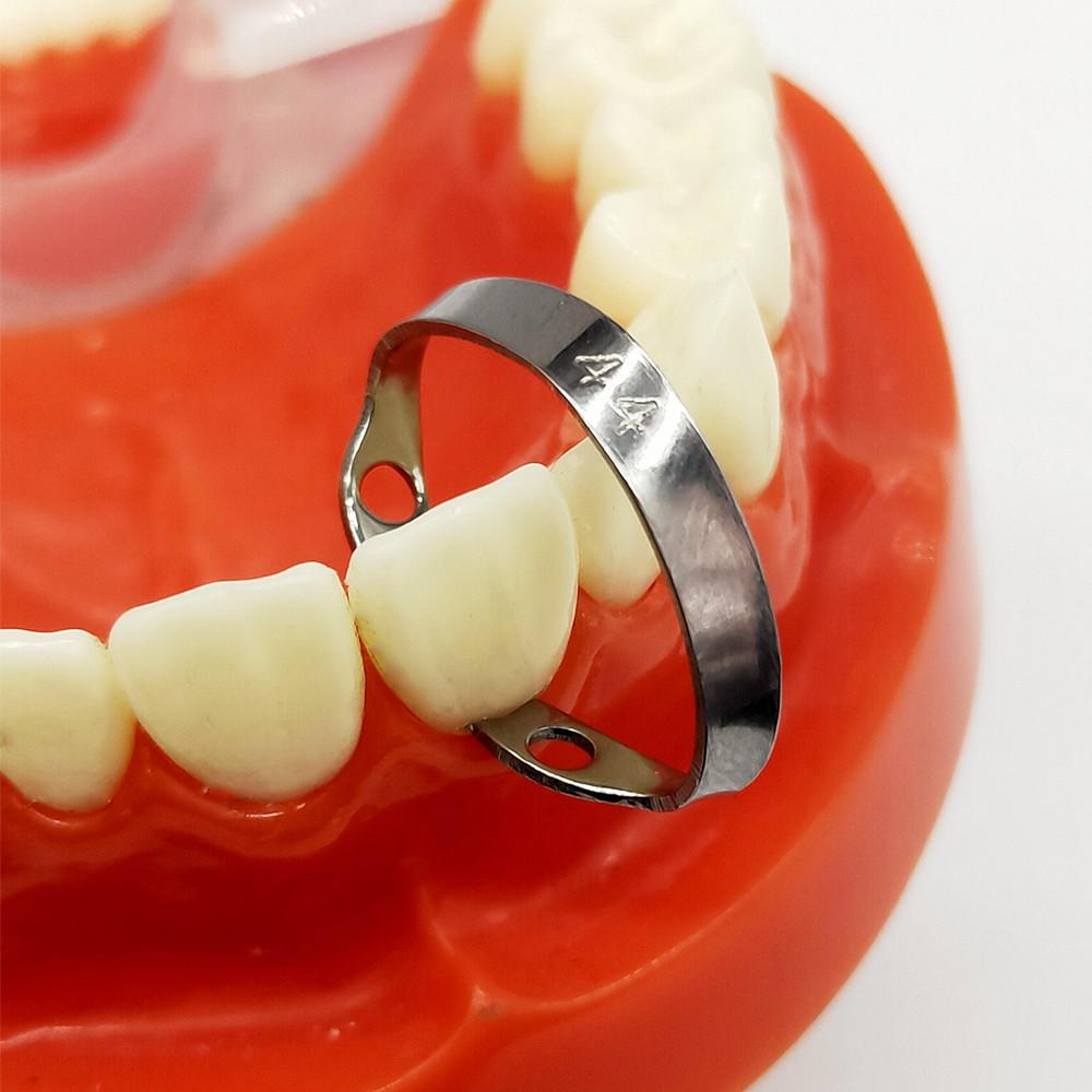 Dental-Kofferdamklemme, Gummi-Barriereklammern Nr. B4 für zwei Eckzähne und Nr. 44 für Vorderzähne
