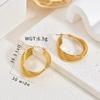 Gold Stainless Steel Earrings Light Luxury Premium Exaggerated Plain Ring Earrings