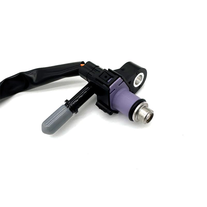 Motorcycle Fuel Injector For YAMAHA YBR125 YBR 125 2007 2008 2009 2010 2011 2012 V-IXION Motorcycle Accessories