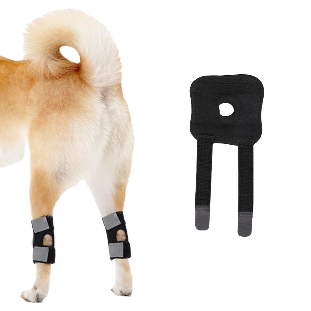 Pet Dog Leg Joint Knee Brace, Patella Protection Support Rehabilitation, Dog Cat Ligament Joint Support Strap, 1PC