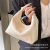 French niche bag women's summer 2025 new fashion shoulder messenger bag high-end foreign style portable dumpling bag