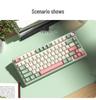 RKR75 Bluetooth Tri-Mode RGB Hot-Swappable Mechanical Keyboard for Esports