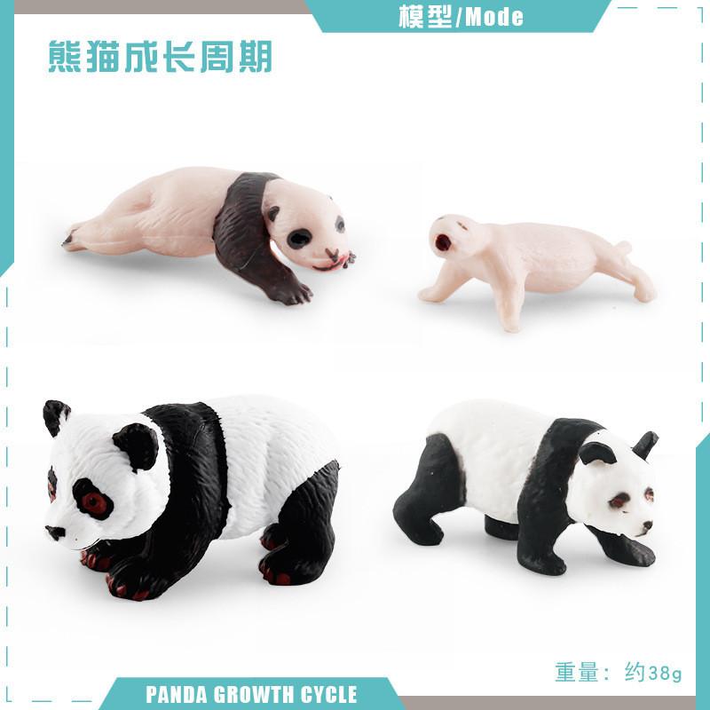 

Educational Panda Growth Cycle Static Model Toy For Kids Realistic Pvc Figures StyleC