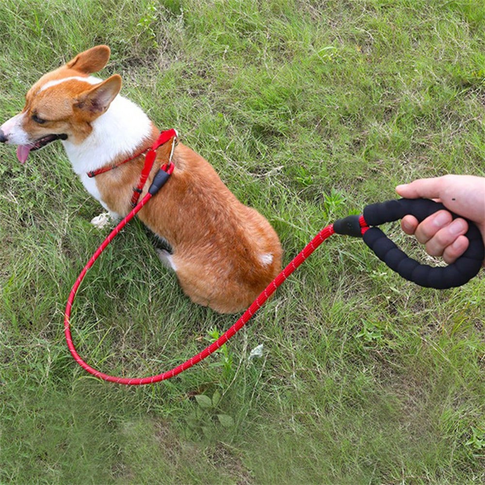 Pet Supplies, Pet Leash, Nylon Reflective Round Rope,Large and Medium-Sized Explosion-Proof Punching Dog Rope, Dog Walking Chain