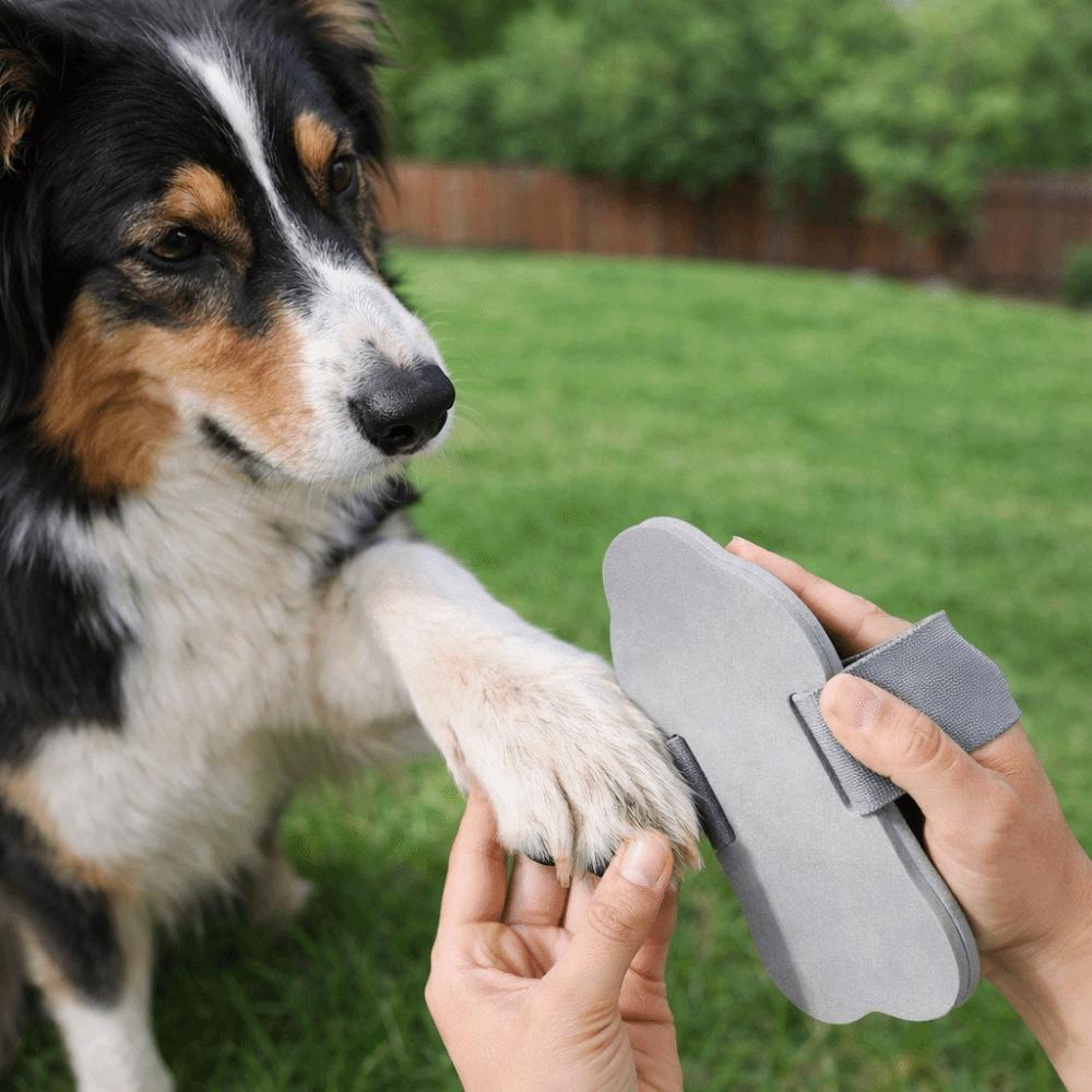 Adjustable Strap Pet Claw Grinder Elastic Dog Scratch Pad  Pet Grooming Cleaning
