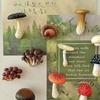 Simulated Mushroom Fridge Magnets 3D Fridge Decor Cute Refrigerator Magnets  Home Decoration