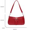 Fashion niche armpit small bag 2025 new French light luxury women's bag commuter shoulder bag autumn and winter versatile messenger bag