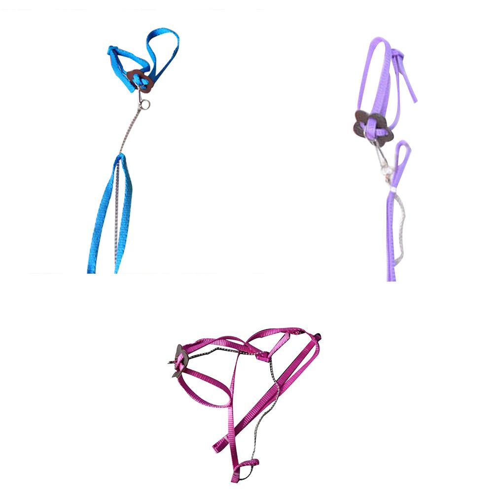 Outdoor Adjustable Bird Vest Leash Bird Training Rope Traction Strap Out Rope