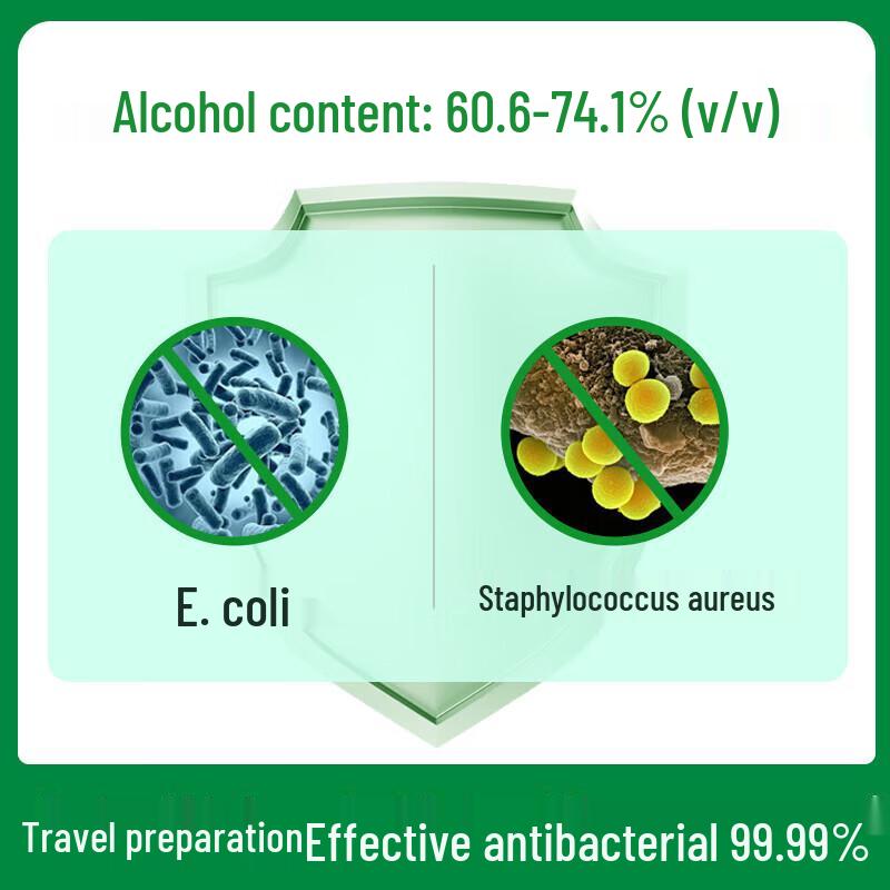 Dettol No-Rinse Hand Sanitizer Gel, Classic Pine