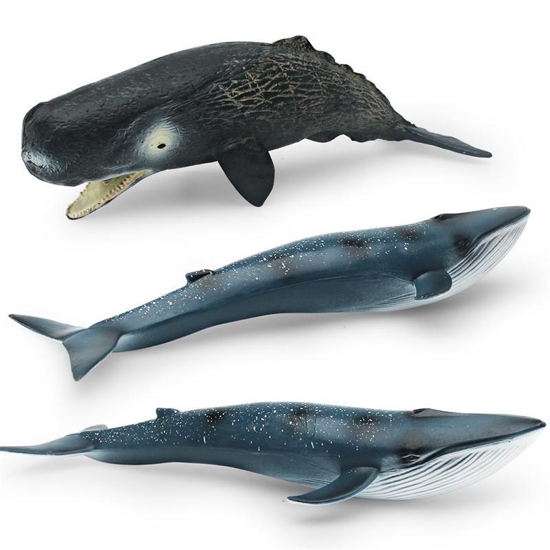 High-quality Realistic Whale Figurines Ideal For Kids' Ocean Education And Decor