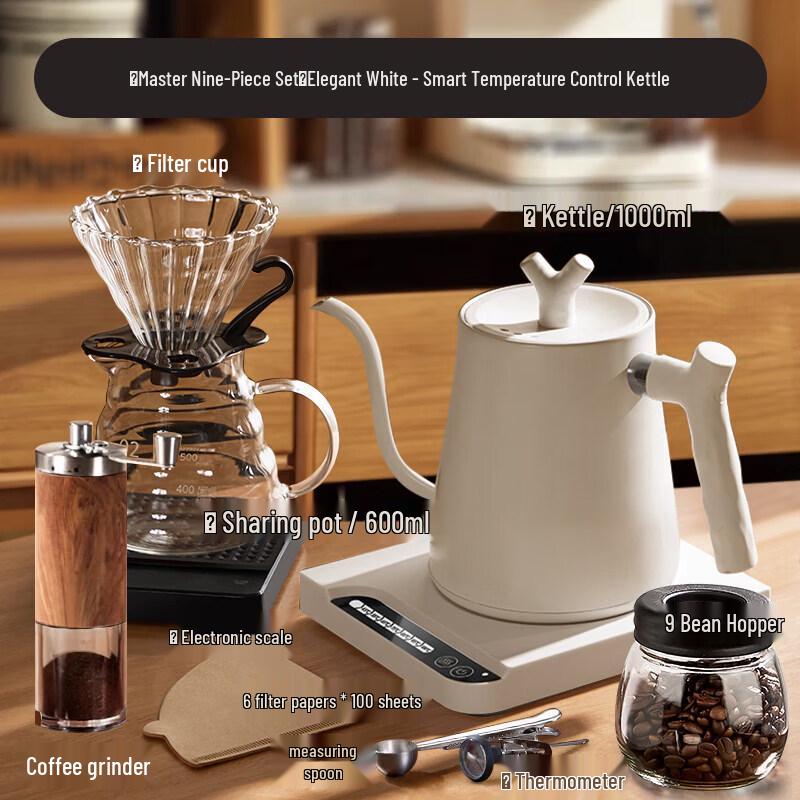 Japanese Style Temperature Control Gooseneck Electric Kettle