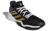 Adidas Harden Stepback 'Black Gold' FX7655