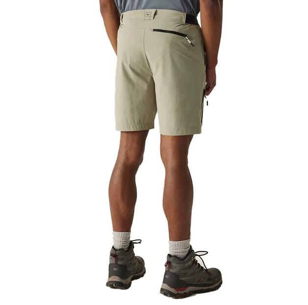 Regatta Шорты Travel Light