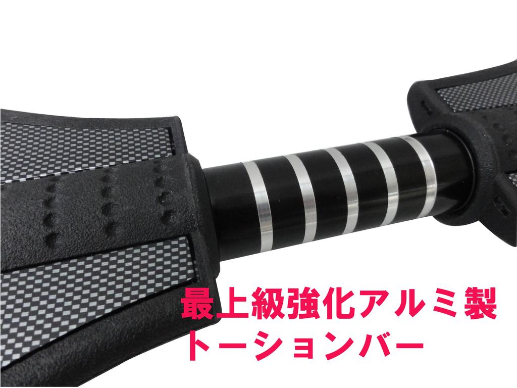 RANGS Japan Lipstick Deluxe Black