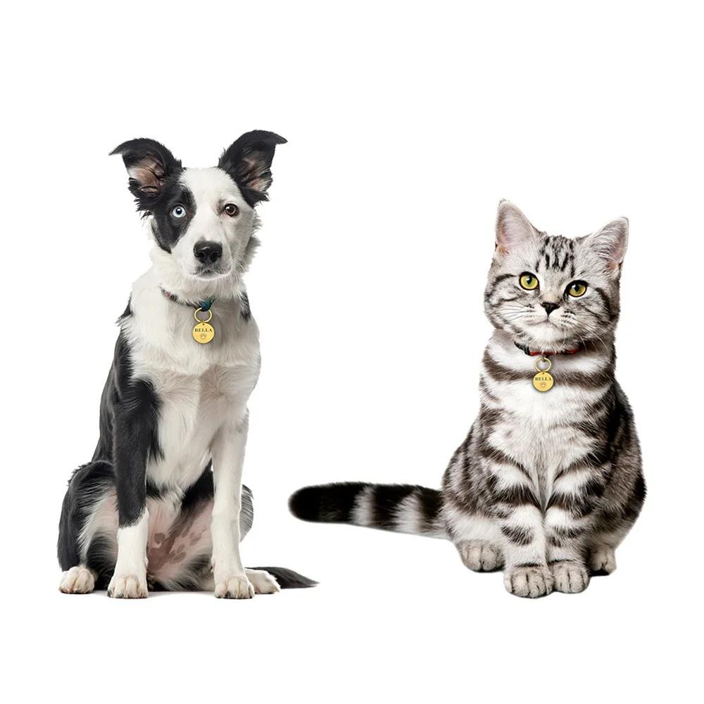 ID-Marke Benutzername Verlustsicher Graviert Aufnahme Tel Adresse Katze Welpe Personalisiert Pfotenabdruck Medaille Anhänger Haustier Hundehalsband Zubehör
