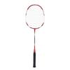 He Da Wu HDW1312 Classic Carbon Badminton Racket Set