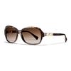 Fashionable Square Frame Sunglasses Women Sunglasses Brown HC8146-L949