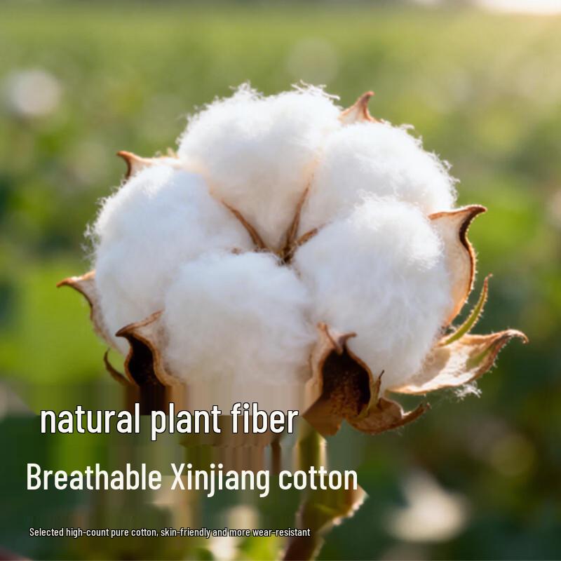 Cotton Soft Men's Pure Cotton Antibacterial Boxer Briefs Multipack