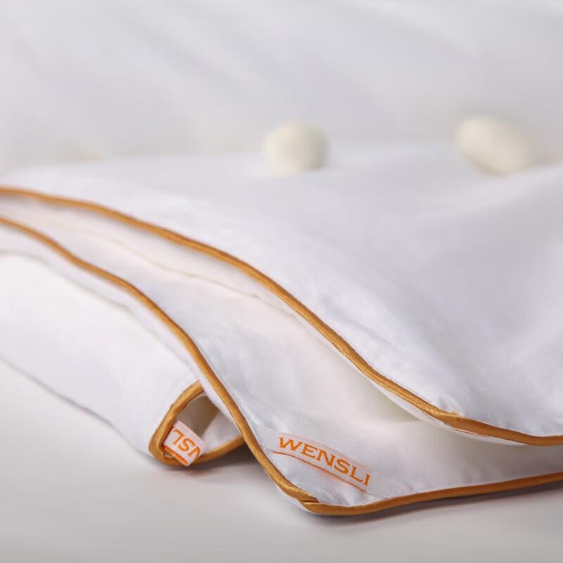 Wanshili Gold Label 100% Pure Silk Quilt