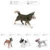 Pvc Dog Model Collection With Realistic Animal Figures For Home Decor And Collectors