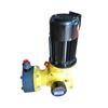 GORE-TEX Mechanical Diaphragm Metering Pump