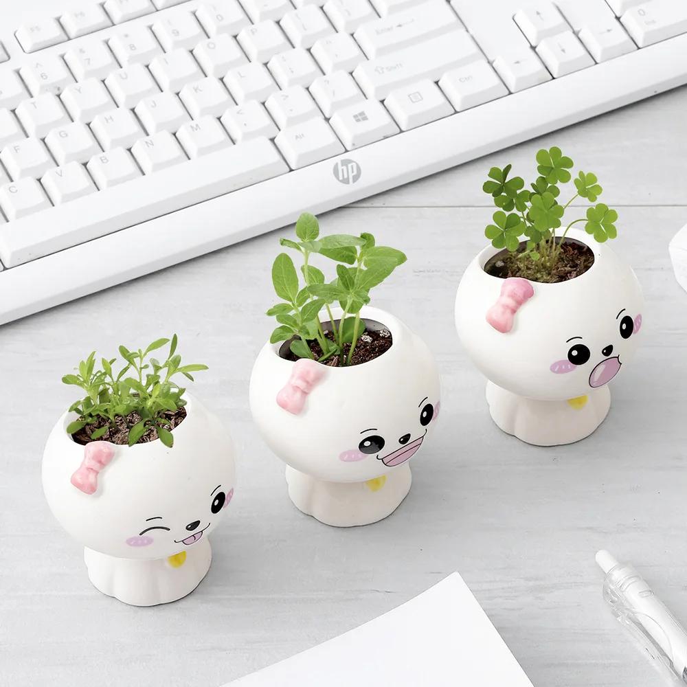 Nouă mini păpușă drăguță ghiveci cu flori Ghiveci din ceramică suculente în ghivece creative bricolaj jucării pentru copii cadou educație științifică decor acasă