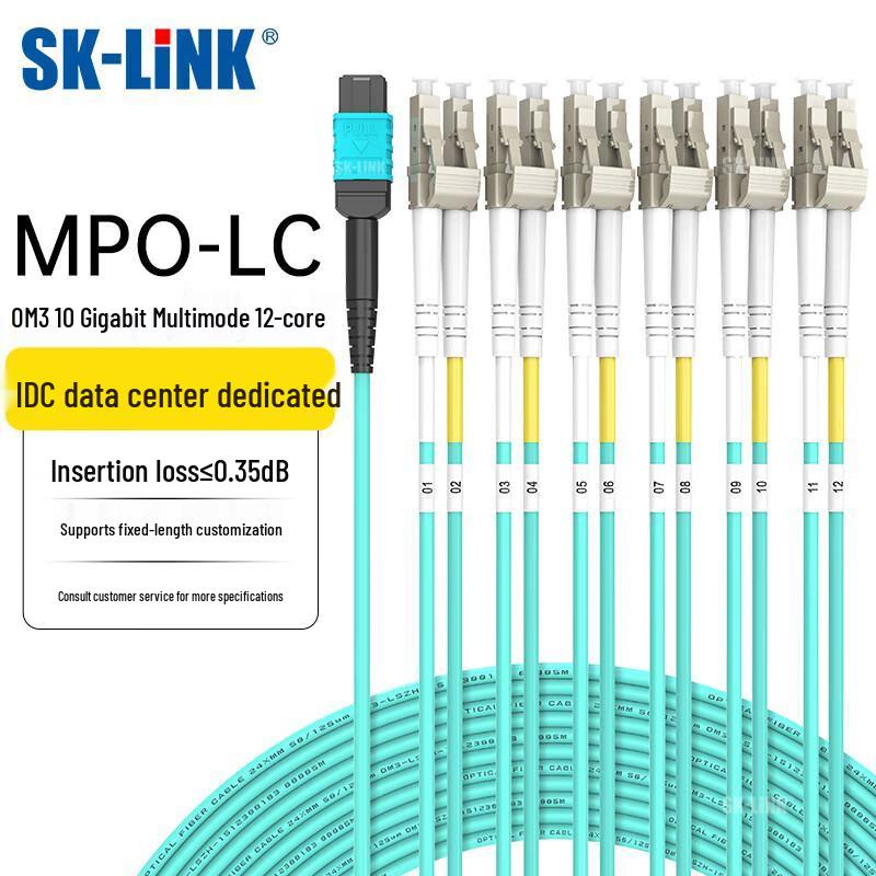

12-Core OM3 MPO-LC Fiber Optic Patch Cable