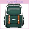 Zhima Baby Kids Backpack With Air Cushion Straps For School Use