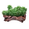 Stylish Cement Tree Root Succulent Pots Cement Tree Root Look Planter Flower Pots for Adding Unique Charm to Interiors