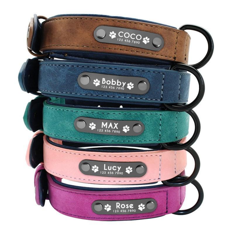 Collier anti-perte dépoli pour chiots de petite taille, de grande taille et Huskies