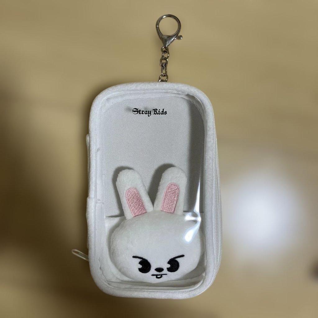Used Stray Kids Axta Case Leebit