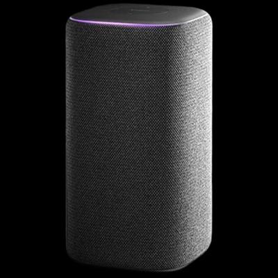 Xiaomi Smart Speaker Pro CN-Stecker (Adapter enthalten)