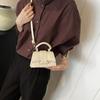 Spring 2025 Solid Color Korean Crossbody Handbag - Women's Versatile Small Square Bag