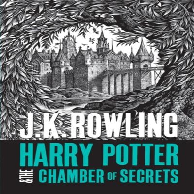 Harry Potter and the Chamber of Secrets by J.K. Rowling Paperback Book 9781408894637