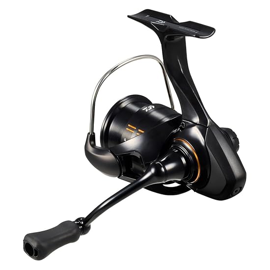 DAIWA Spinning Reel 25IPRIMI LT2000S-P