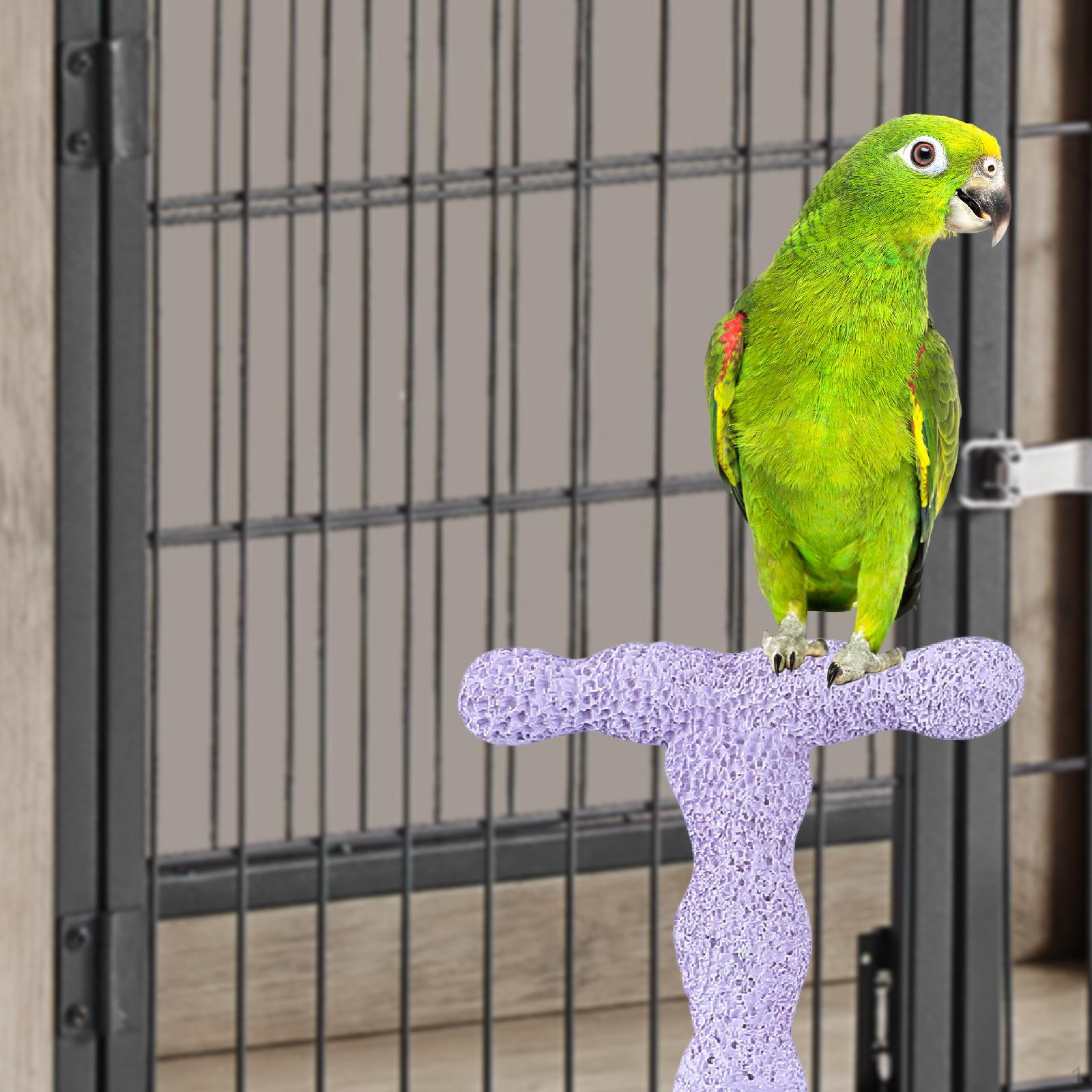 

Bird Perch Stand Cage Standing Parrot Paw Canaries Parrots Small Birds Budgies фиолетовый